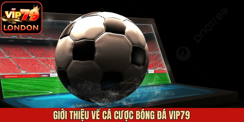 Khái quát về cá cược bóng đá Vip79