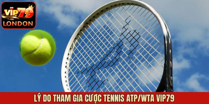 Lý do nên tham gia cá độ Tennis ATP/WTA tại Vip79