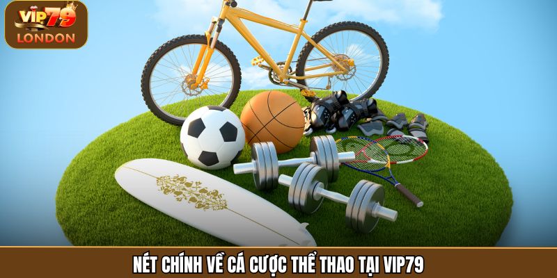 Nét chính về cá cược thể thao tại Vip79