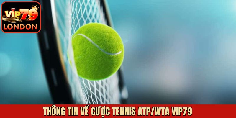 Tổng quát về cược Tennis ATP/WTA Vip79