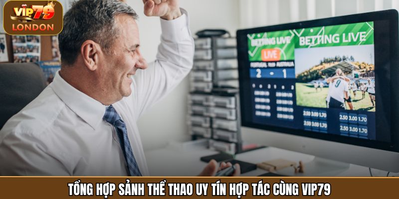 Tổng hợp sảnh thể thao uy tín hợp tác cùng Vip79